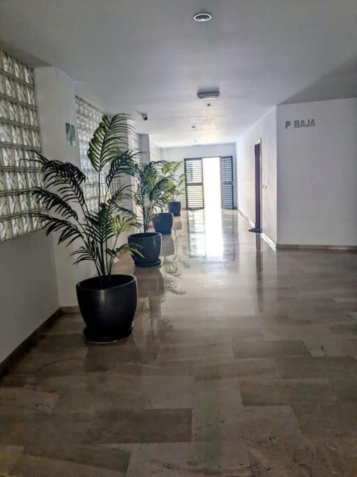Duplex Chiclana Centro Con Terraza Y Parking By Chiclana Dreams Apartment